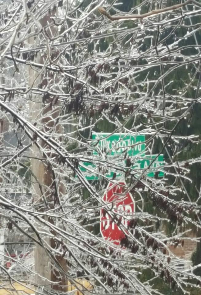 2017-01-14 Ice storm beauty.jpg